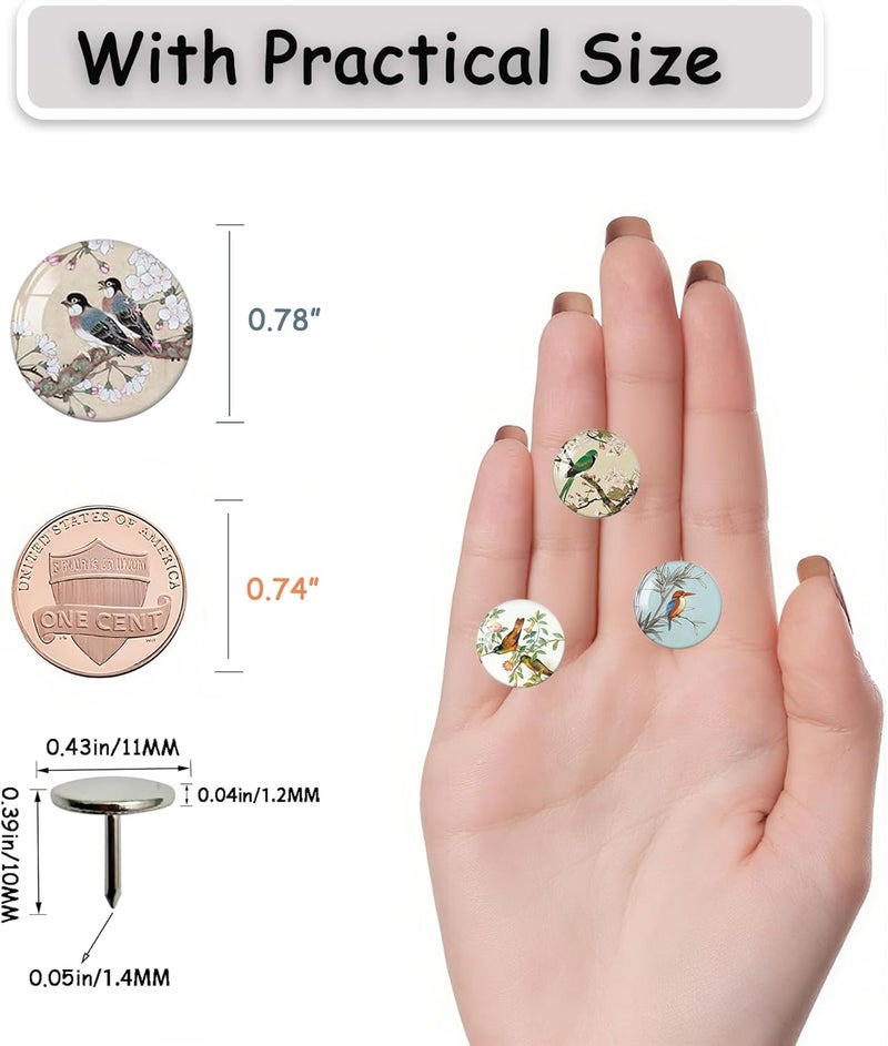 Tandarui 24Pcs Bird Decorative Pins and Tacks, Thumb Tacks for Bulletin Board,Cork Board Thumbtacks,Pin Board for Cork Board,Office Decor,or Home Décor - Image 4